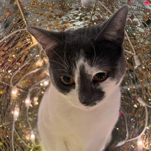 Meet your Posher, Macey